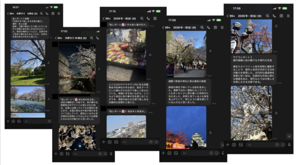 【まちづくり学科】「さくら🌸レポート」と観光資源探索（矢野ゼミ）